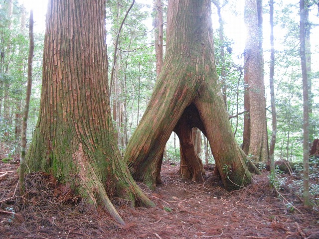 c0219866_957494.jpg