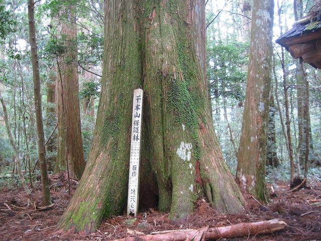 c0219866_9575519.jpg