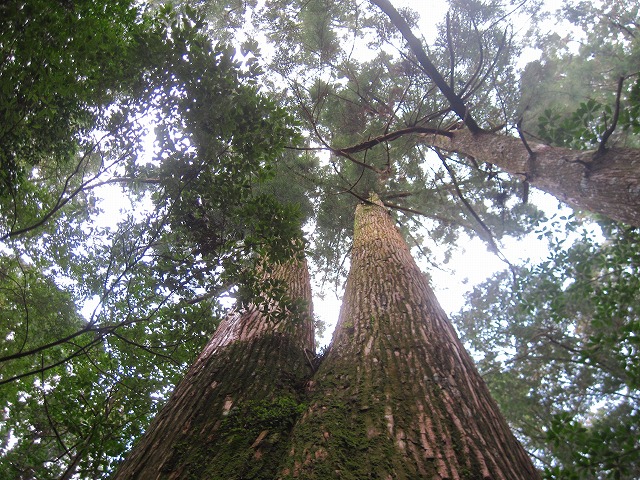 c0219866_958141.jpg