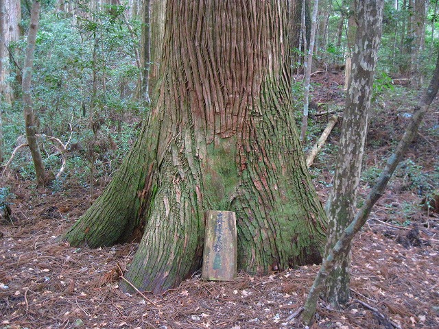 c0219866_958851.jpg