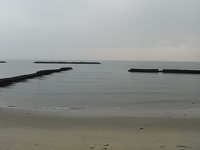 a0146070_551574.jpg