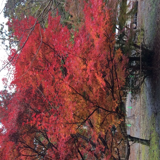 f0299870_10453919.jpg