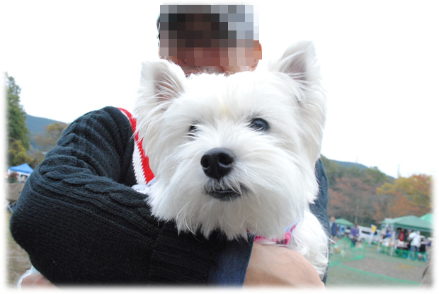 b0242873_113113.png