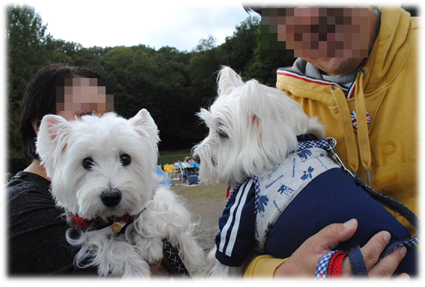 b0242873_1211692.png