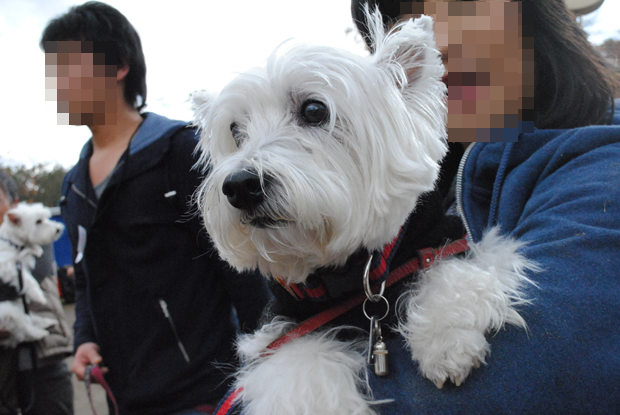 b0242873_14364026.png