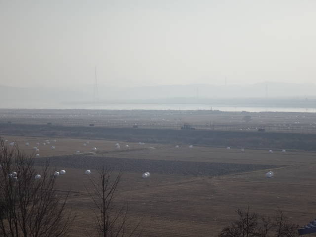 a0113874_22431593.jpg