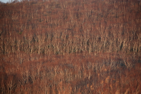 f0075075_1683373.jpg