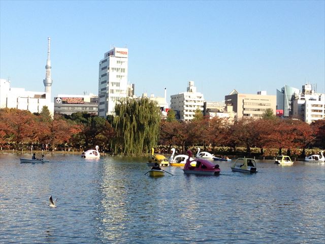 f0167281_16135449.jpg