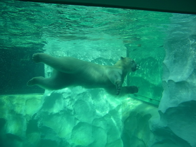 a0257385_438749.jpg