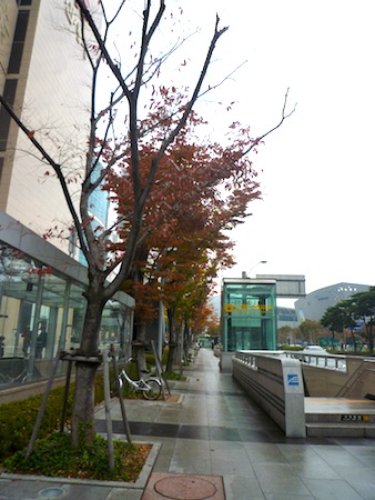 e0194987_10131869.jpg