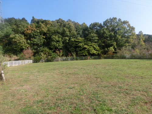 a0319693_20281047.jpg