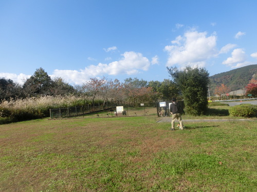 a0319693_8161635.jpg