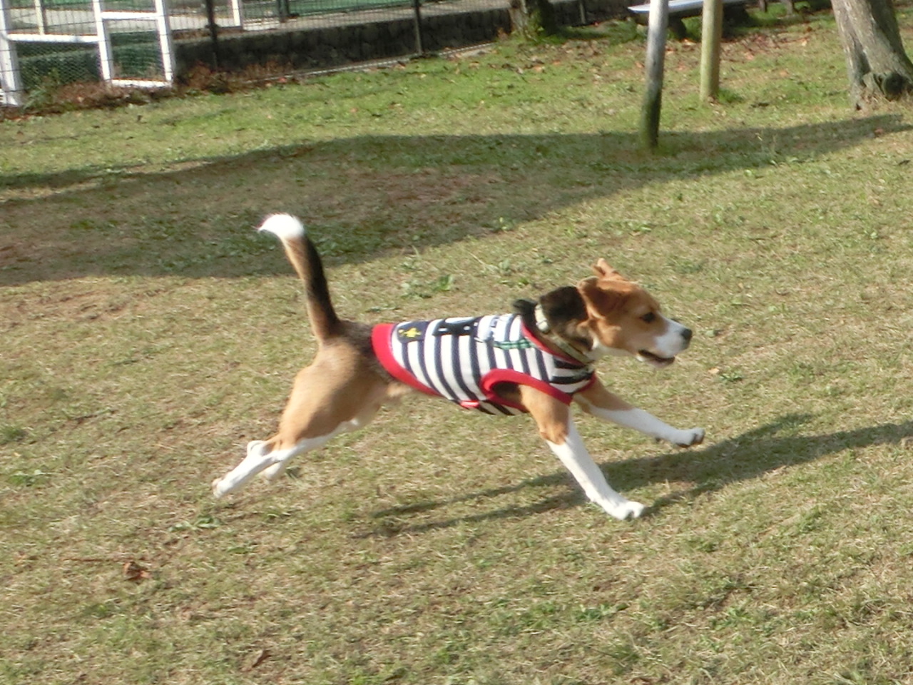 a0319693_8461698.jpg
