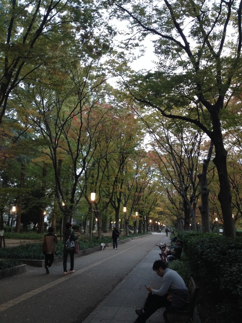 a0250494_8542568.jpg