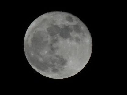 a0125598_21123871.jpg
