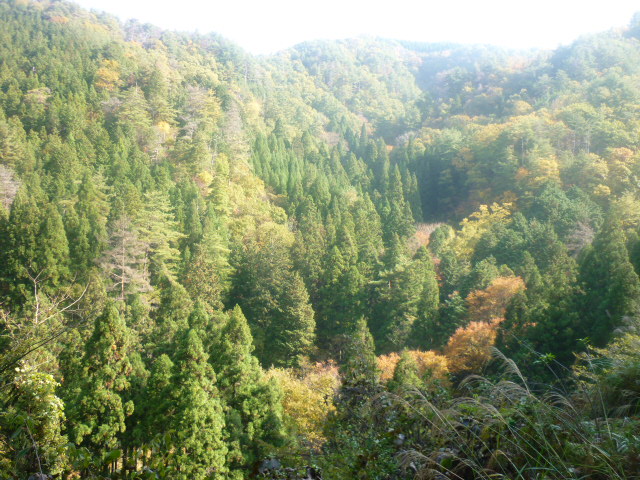 e0326699_15593951.jpg