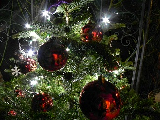 c0152002_20231518.jpg