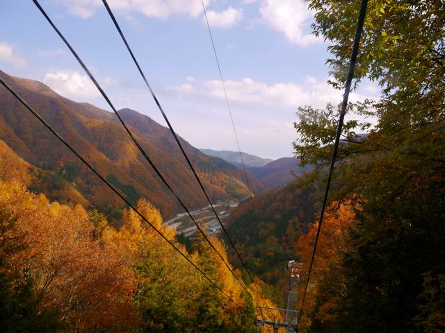 d0119417_16323963.jpg