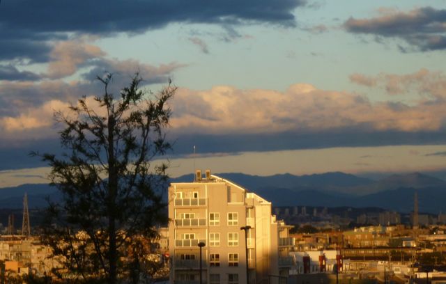 b0283019_1618765.jpg