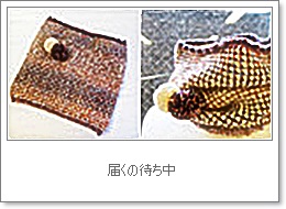 e0136420_1315640.jpg