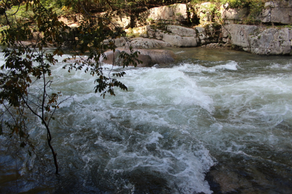 f0018027_21553690.jpg