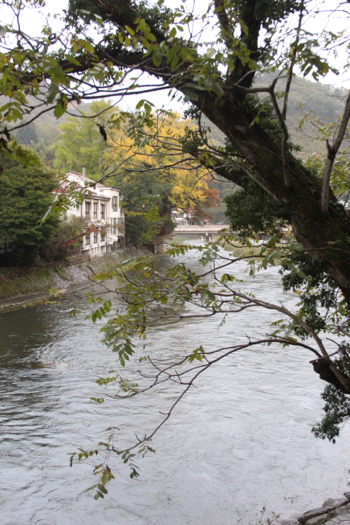 f0018027_21554232.jpg