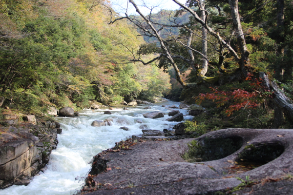 f0018027_21555796.jpg