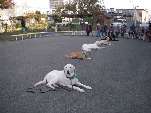 c0114833_2011766.jpg