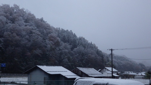 c0300035_882939.jpg