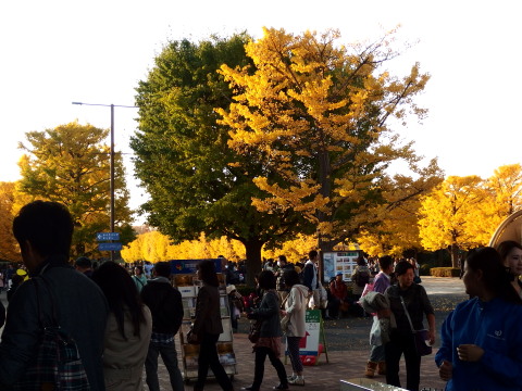 c0097838_1548416.jpg