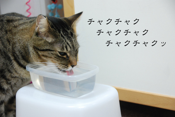 f0247039_15293291.jpg