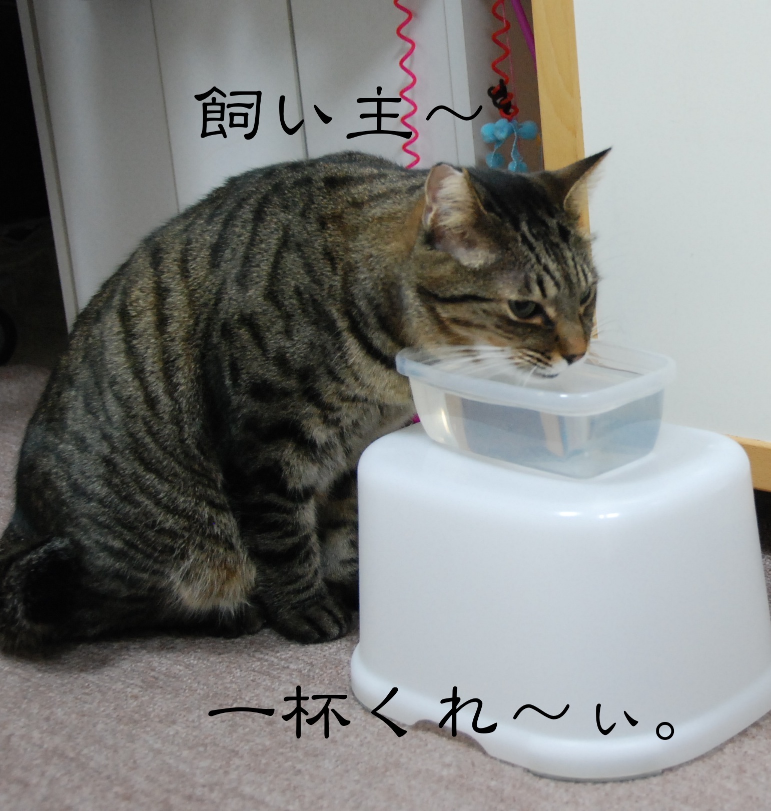 f0247039_15345994.jpg