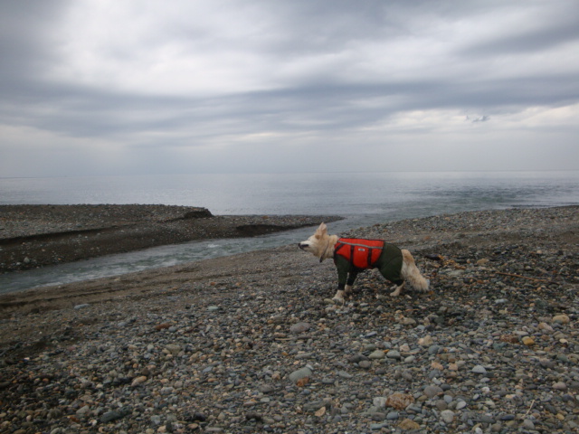 e0158841_15144898.jpg