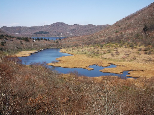 e0248844_20532380.jpg