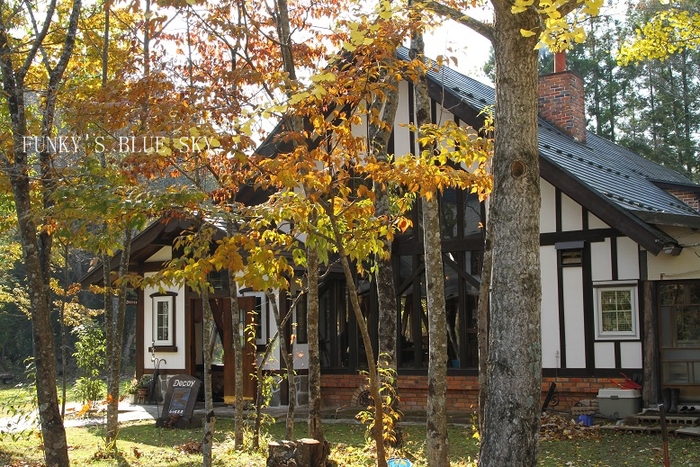 c0145250_1037291.jpg