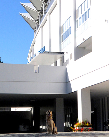 c0097558_17392126.jpg