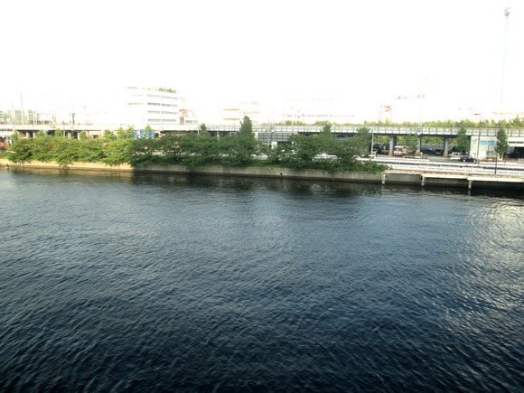 d0162564_14352161.jpg