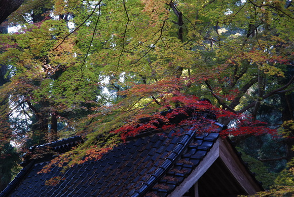 e0208965_21252729.jpg
