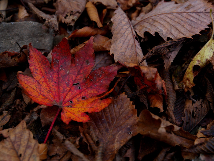 a0260570_12291013.jpg