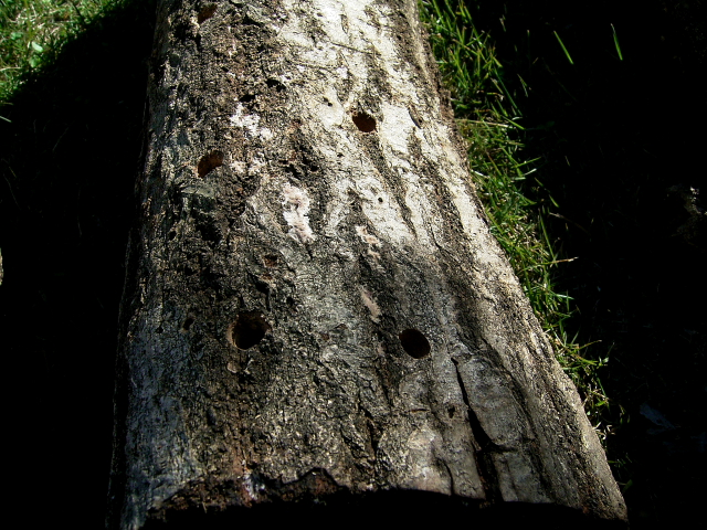 d0225575_17354141.jpg