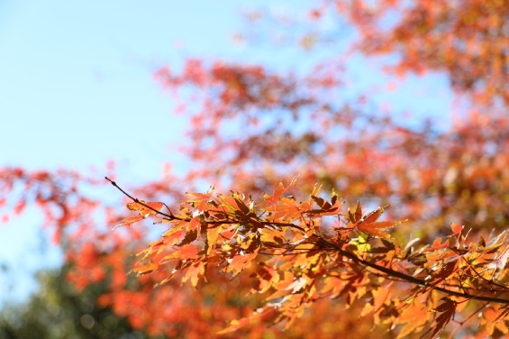 b0239176_13501930.jpg