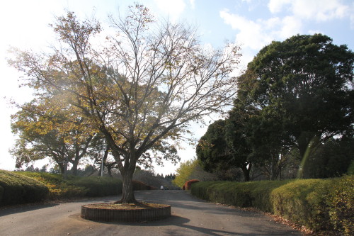 e0114977_19263749.jpg