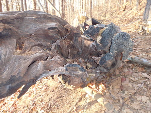f0223480_21512100.jpg