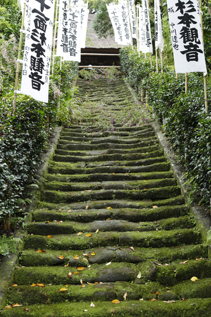 a0025490_0562719.jpg
