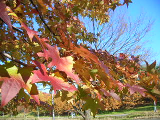 c0029190_2273912.jpg