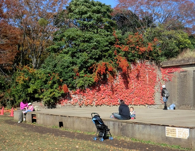 e0143690_8235960.jpg