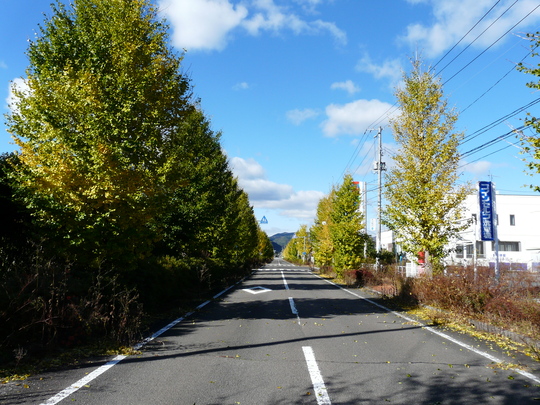 a0272591_22131189.jpg