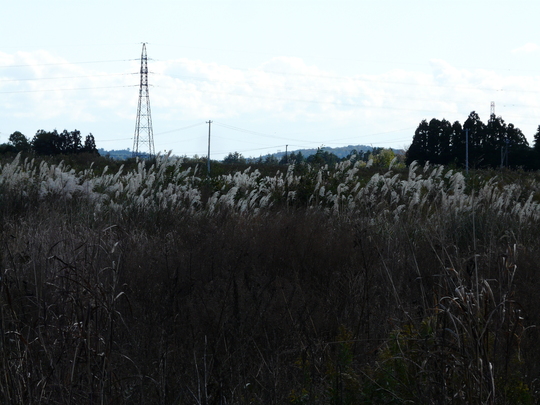 a0272591_2218841.jpg