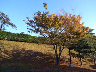 a0137192_17211661.jpg