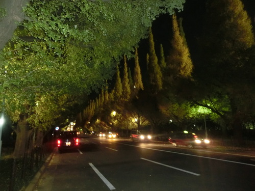 a0319693_23102883.jpg